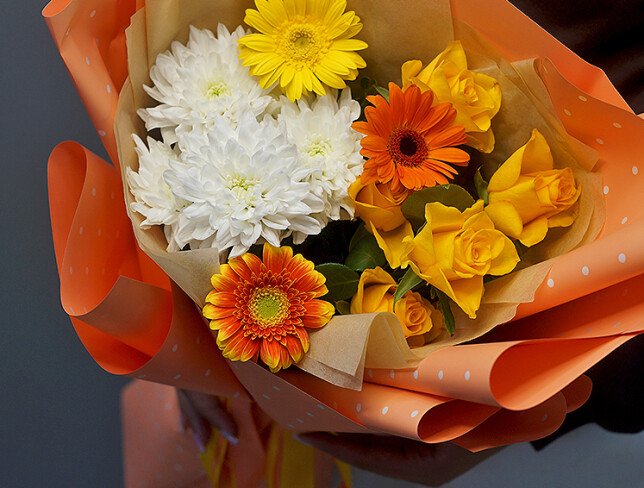 Sunny Compliment photo