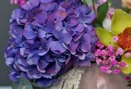 Amethyst Garden — photo 4