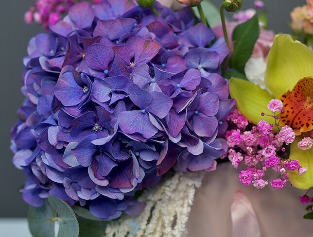 Amethyst Garden photo