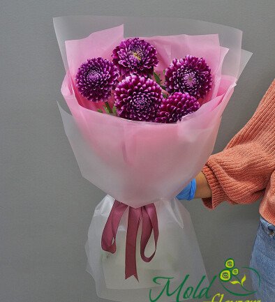 Buchet din 5 gheorghine roz foto 394x433