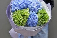 Buchet din 3 hortensii albastre si 2 hortensii verzi — foto 1
