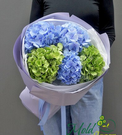 Buchet din 3 hortensii albastre si 2 hortensii verzi foto 394x433
