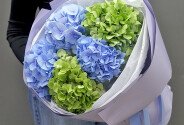 Buchet din 3 hortensii albastre si 2 hortensii verzi — foto 2