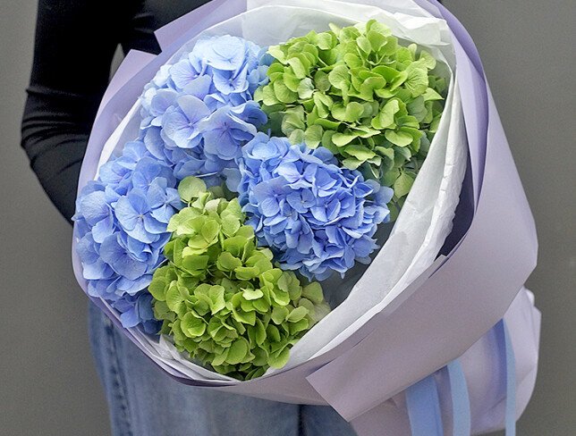 Buchet din 3 hortensii albastre si 2 hortensii verzi foto