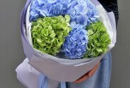 Buchet din 3 hortensii albastre si 2 hortensii verzi — foto 3