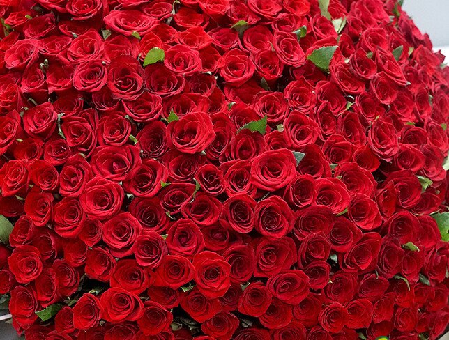 401 red roses 50 cm (pre-order, 10 days) photo