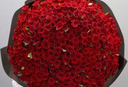 401 red roses 50 cm (pre-order, 10 days) — photo 2