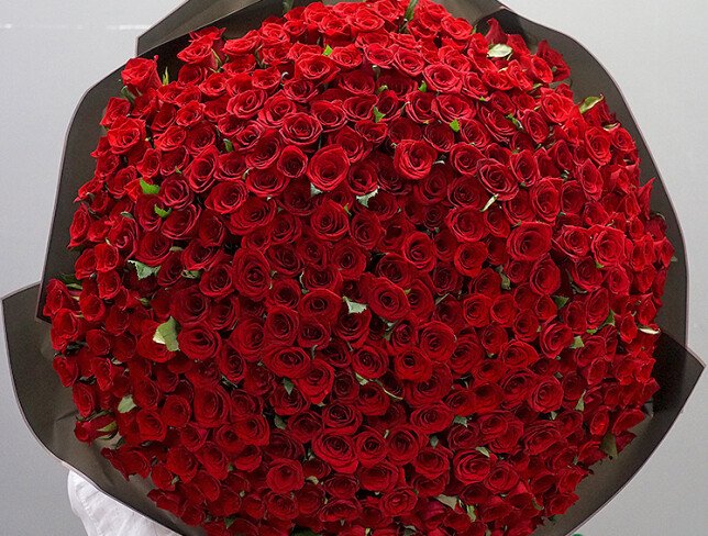 401 red roses 50 cm (pre-order, 10 days) photo