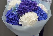 Букет из 9 гортензий — фото 2