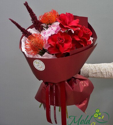 Burgundy Touch photo 394x433