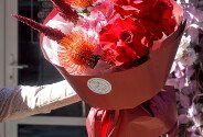 Burgundy Touch — photo 4