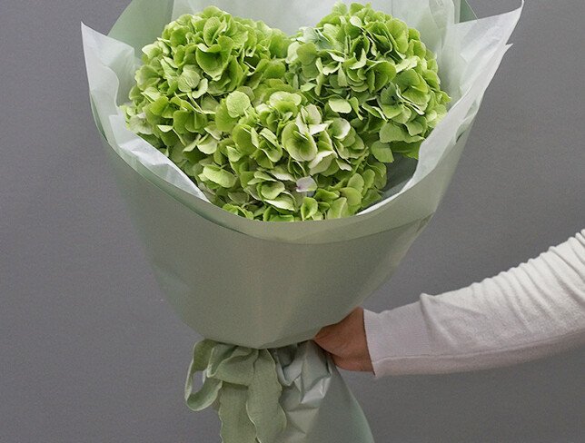 Buchet din 3 hortensii verzi foto