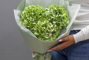 Buchet din 3 hortensii verzi — foto 1