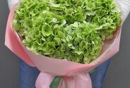 Buchet din 5 hortensii verzi — foto 1