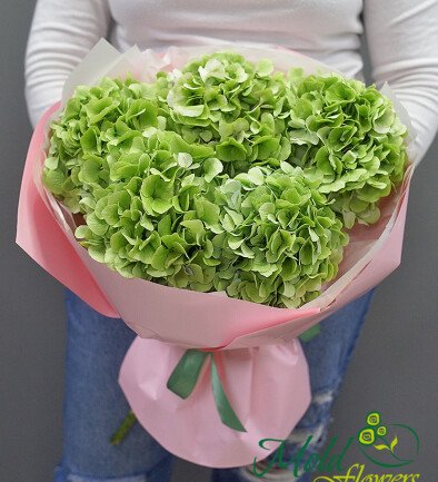 Buchet din 5 hortensii verzi foto 394x433