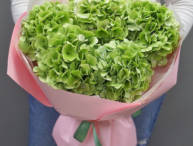 Buchet din 5 hortensii verzi foto