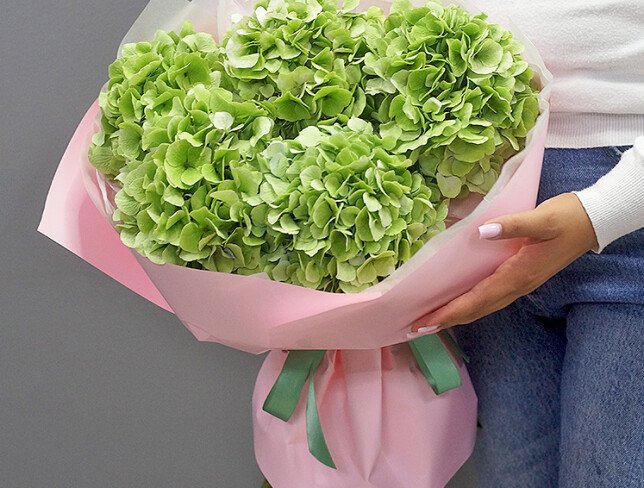 Buchet din 5 hortensii verzi foto