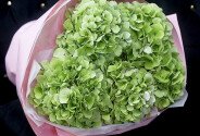 Buchet din 5 hortensii verzi — foto 3