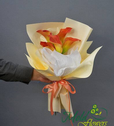 Bouquet of 5 "Mango" Calla Lilies photo 394x433