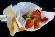 Bouquet of 5 "Mango" Calla Lilies — photo 4