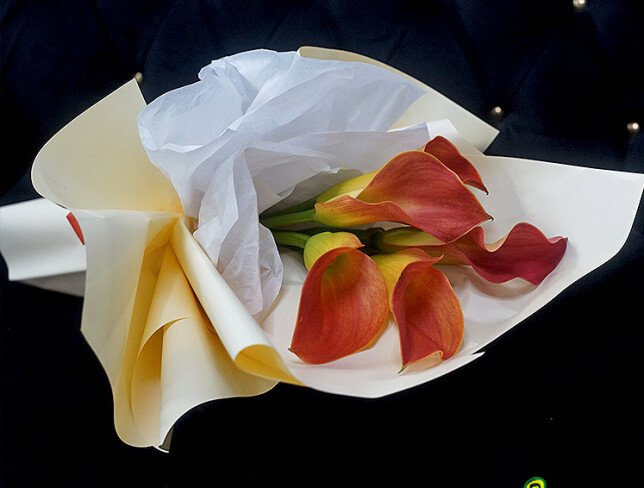 Bouquet of 5 "Mango" Calla Lilies photo