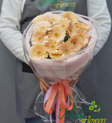 Buchet din 15 mini-gerbere roz pal foto 394x433