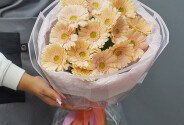 Buchet din 15 mini-gerbere roz pal — foto 3