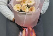 Bouquet of 7 Soft Pink Mini Gerberas — photo 1