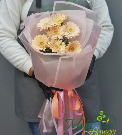 Bouquet of 7 Soft Pink Mini Gerberas photo 394x433