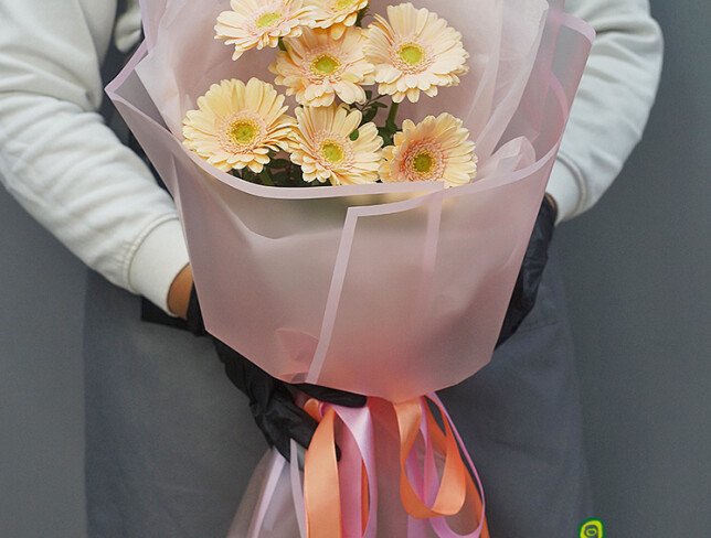 Bouquet of 7 Soft Pink Mini Gerberas photo
