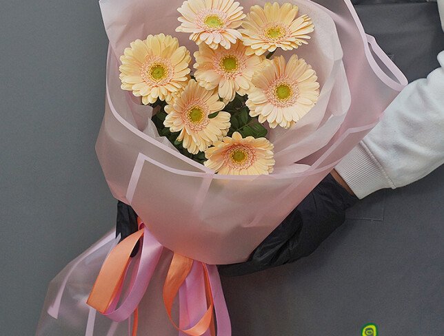 Bouquet of 7 Soft Pink Mini Gerberas photo