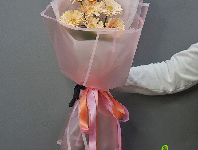 Bouquet of 7 Soft Pink Mini Gerberas photo