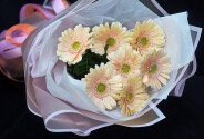 Bouquet of 7 Soft Pink Mini Gerberas — photo 4