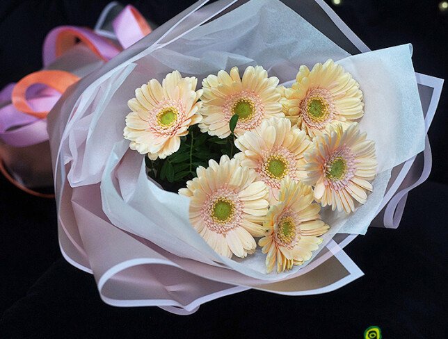 Bouquet of 7 Soft Pink Mini Gerberas photo