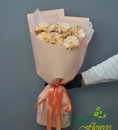 Bouquet of 9 Soft Pink Mini Gerberas photo 394x433