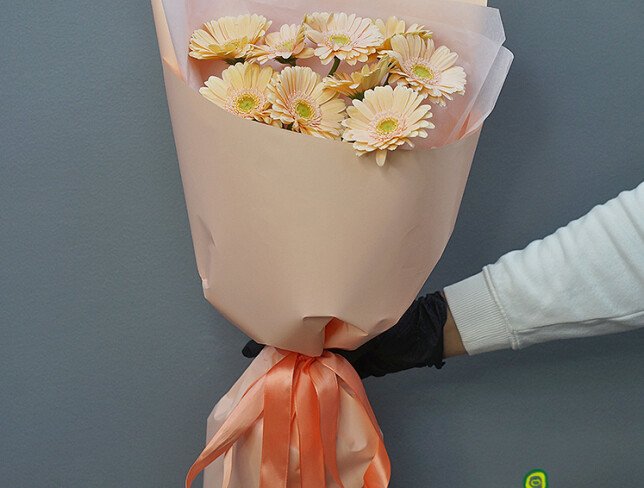 Bouquet of 9 Soft Pink Mini Gerberas photo