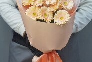 Bouquet of 9 Soft Pink Mini Gerberas — photo 2