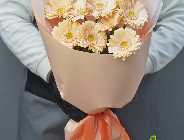 Bouquet of 9 Soft Pink Mini Gerberas photo
