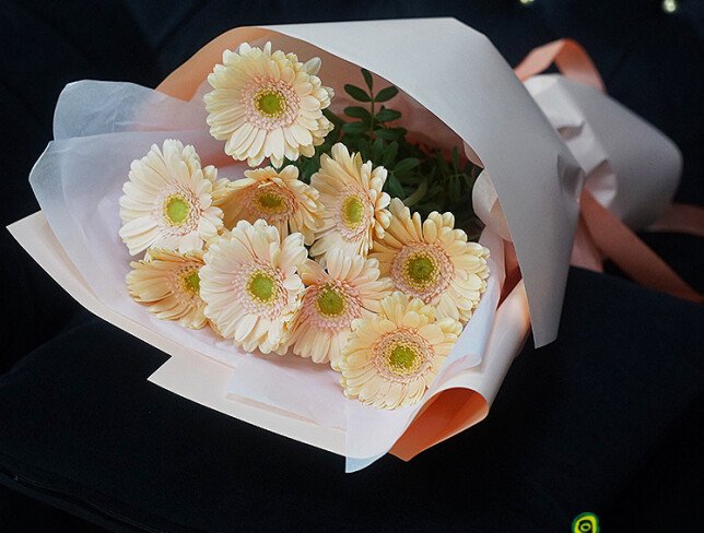 Bouquet of 9 Soft Pink Mini Gerberas photo